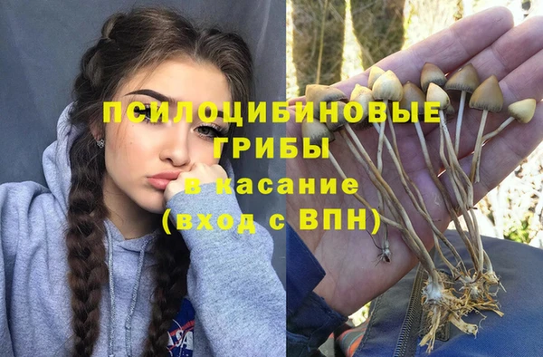 ECSTASY Лиски